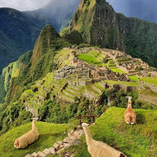 Machu Picchu